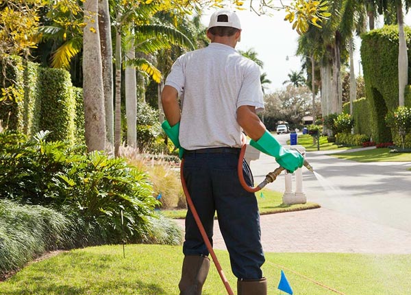 About Quinlan TX Pest Control Pros